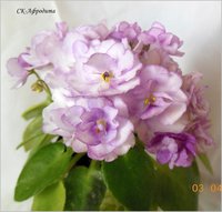 DSCN5357.JPG