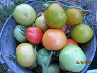 IMG_0115.JPG