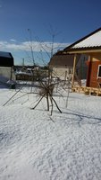 Мел1.jpg