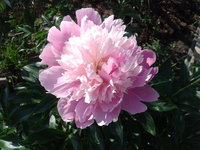 2016-06-26 09.01.04.jpg