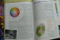 P1290638.JPG