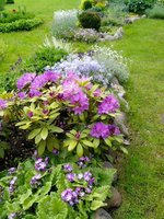 IMG_20160607_123651.jpg