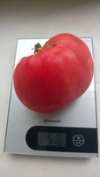 WP_20160704_068.jpg