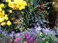 DSC00008.JPG