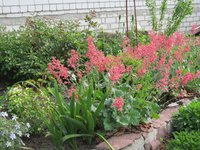 IMG_0945.JPG