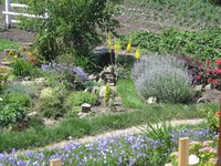 IMG_1153.JPG