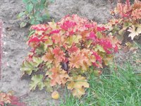 DSCN0668.JPG