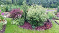 2016-07-07 18.41.15.jpg