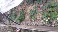 20161029_105923.jpg