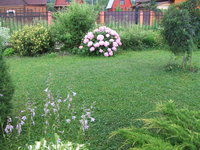 DSCF4272.JPG