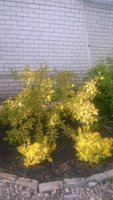 WP_20160610_045.jpg