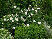 0_151cc4_8cb63f04_M.jpg