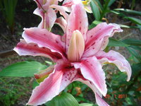 DSC07032.JPG