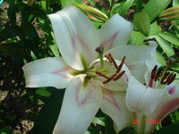 DSC07040.JPG