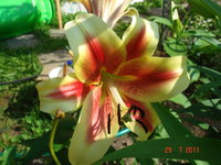 DSC07041.JPG