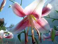 DSC07043.JPG