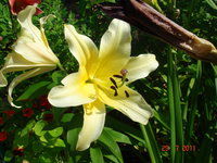 DSC07045.JPG