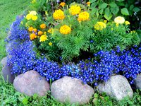 DSC07427.JPG
