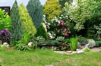 poslednii_567e63f497984 (1).jpg