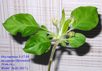 P1080587-2.jpg