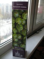 IMG_1937.jpg