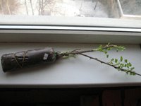 IMG_1935.jpg