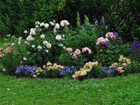 0_b6a25_87cbcf2b_L.jpg