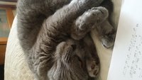 20170225_152349.jpg