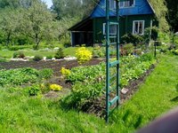 IMG_20160527_121101.jpg