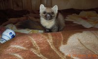 DSCN1829.JPG