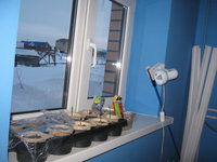 IMG_6733.JPG