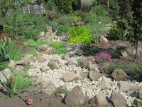 IMG_0927.JPG