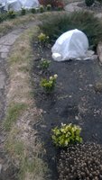 WP_20170306_005.jpg