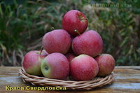 Краса Свердловска