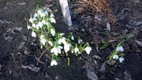 WP_20170308_005.jpg