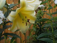 DSCN0641.JPG
