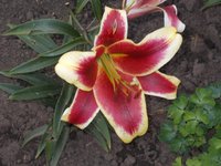 DSCN0643.JPG