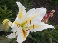 DSCN0646.JPG