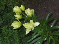 DSCN0700.JPG