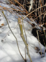 DSC04908.JPG