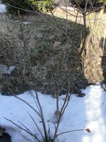 DSC04903.JPG