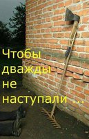223032074_423560_15944417482028207120.jpg