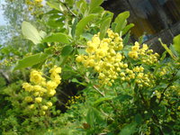 DSC05372.JPG