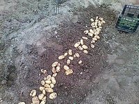 IMG_20170325_184719.jpg