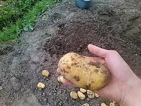 IMG_20170325_184702.jpg