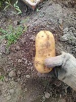 IMG_20170325_184522.jpg