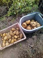 IMG_20170325_184138.jpg