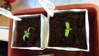 20170325_172539.jpg