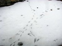 IMG_2631.JPG