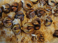 DSC04928.JPG